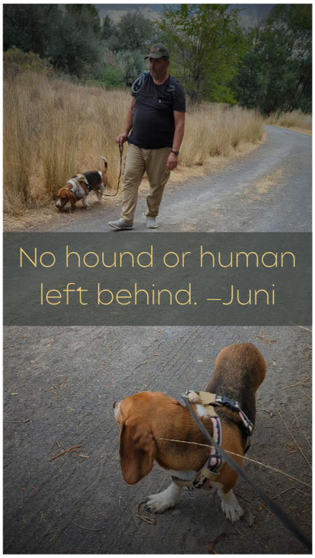 No One Is Left Behind Juni stops and waits for Greg and Saska to catch up.