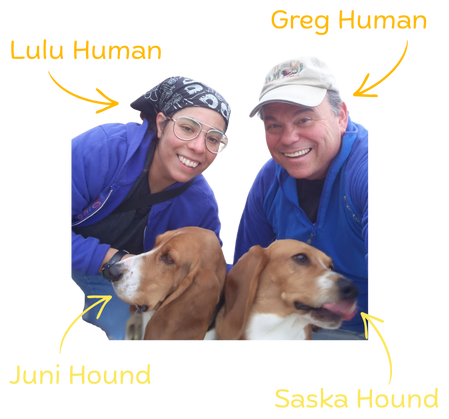 Lulu, Greg, Saska and Juni posing silly.